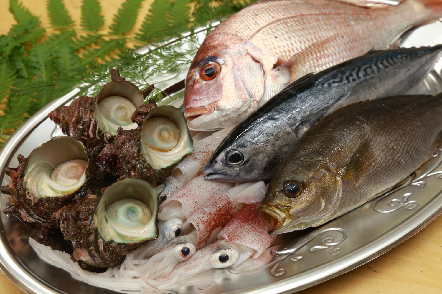 魚市場から直送の海鮮バーベキューセット 一般社団法人 日本オートキャンプ協会